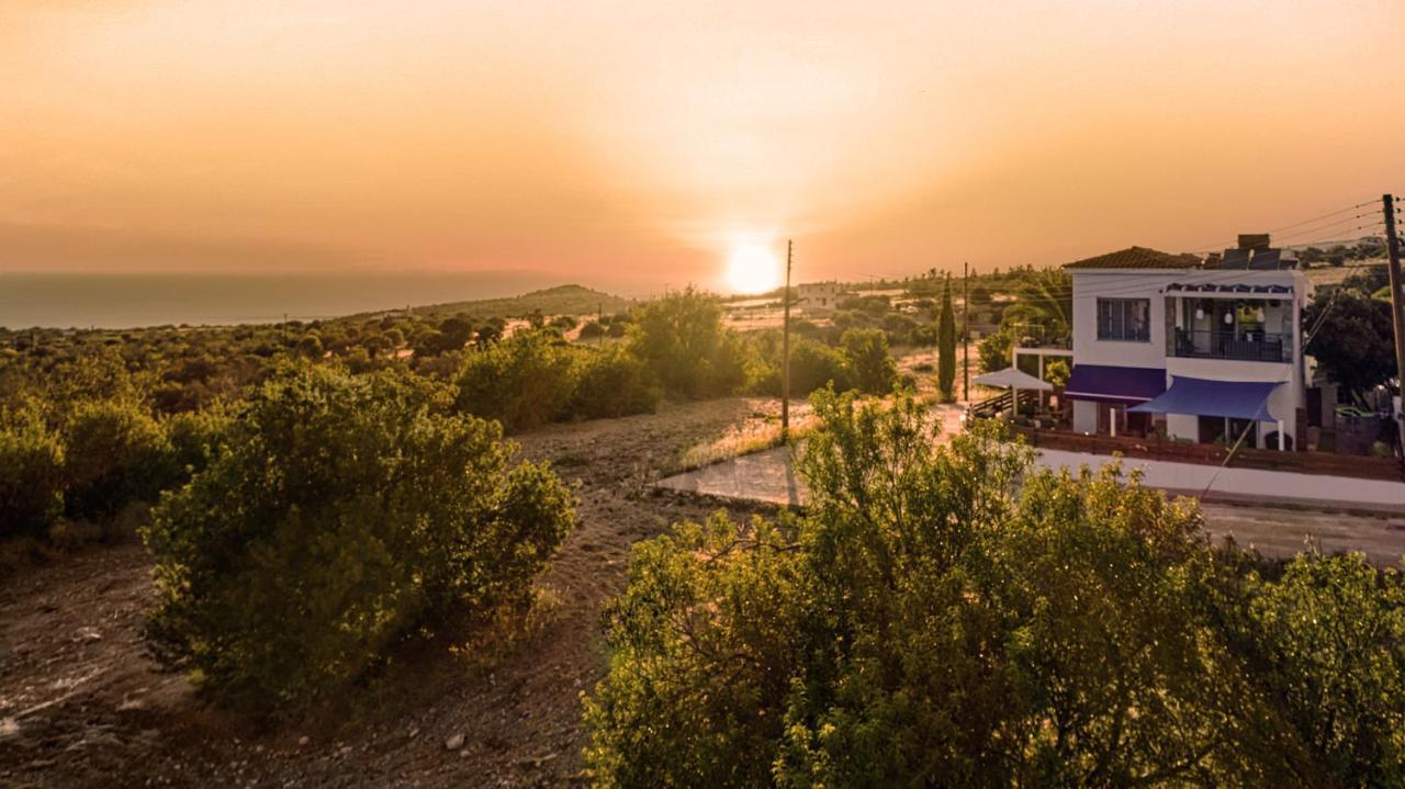 Villanelle Bed & Breakfast Welcomes Dog Lovers Only Tala Extérieur photo